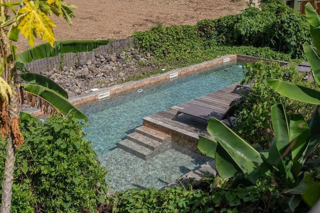 T2 Moderne Avec Piscine Oasis De Nature Et Serenite Petit-Canal المظهر الخارجي الصورة