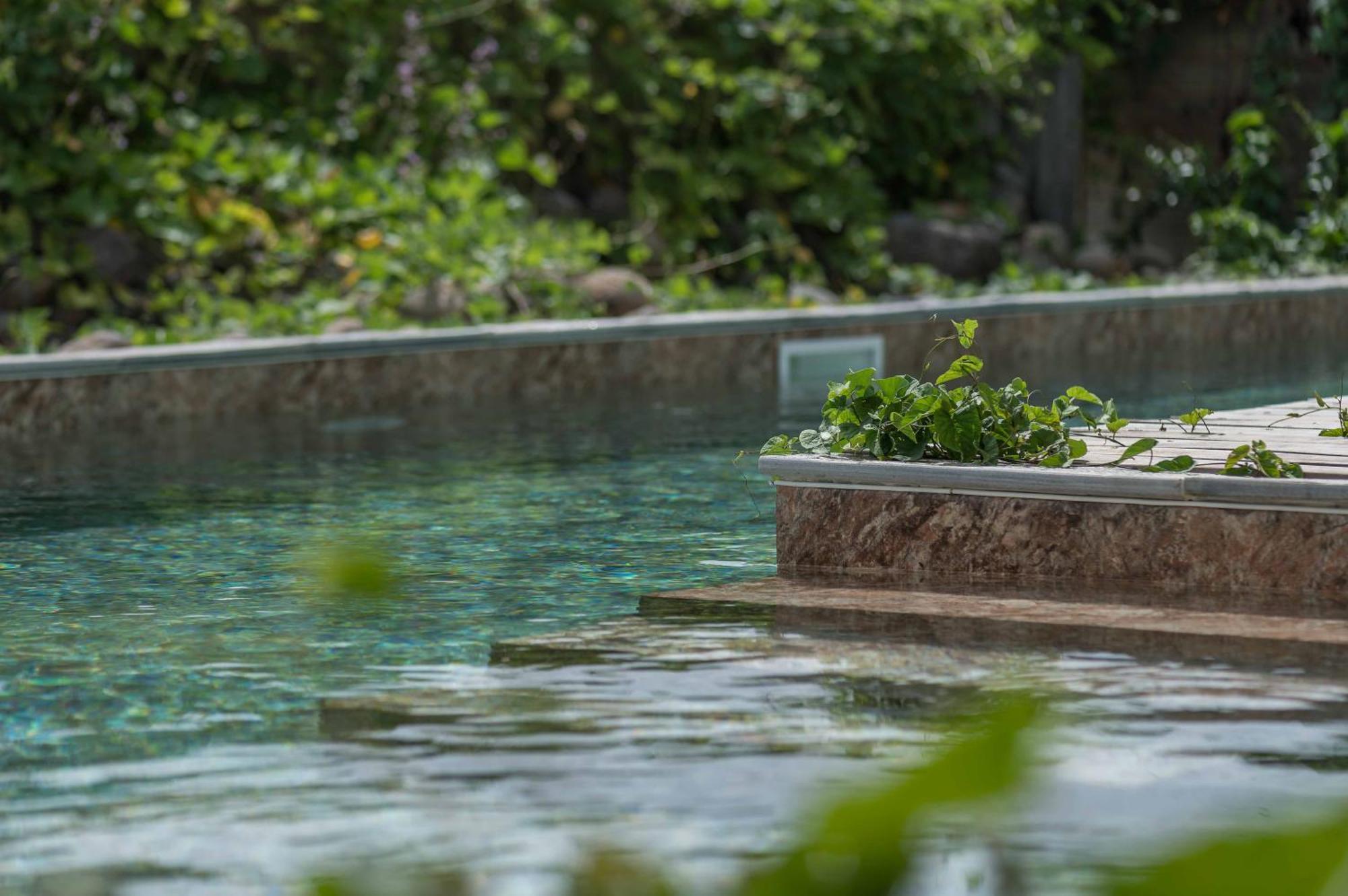 T2 Moderne Avec Piscine Oasis De Nature Et Serenite Petit-Canal المظهر الخارجي الصورة